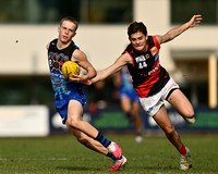 AFL 2026