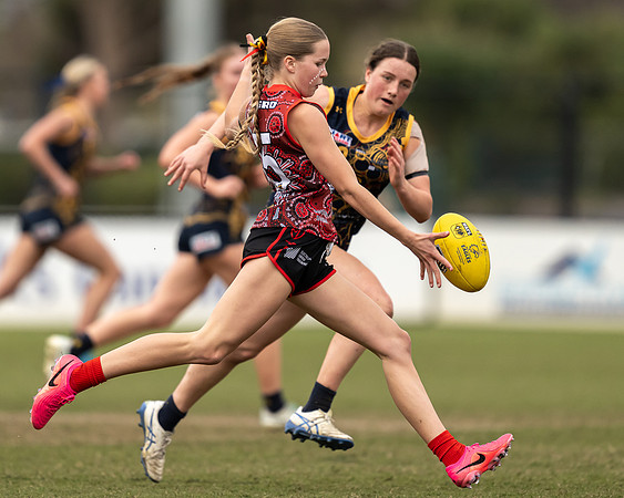 20260711_6555