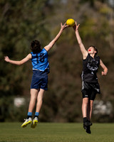 Y8 CarineBlue vs Wembley 2Aug26