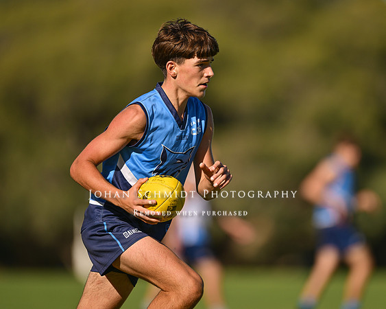 20250608_2764